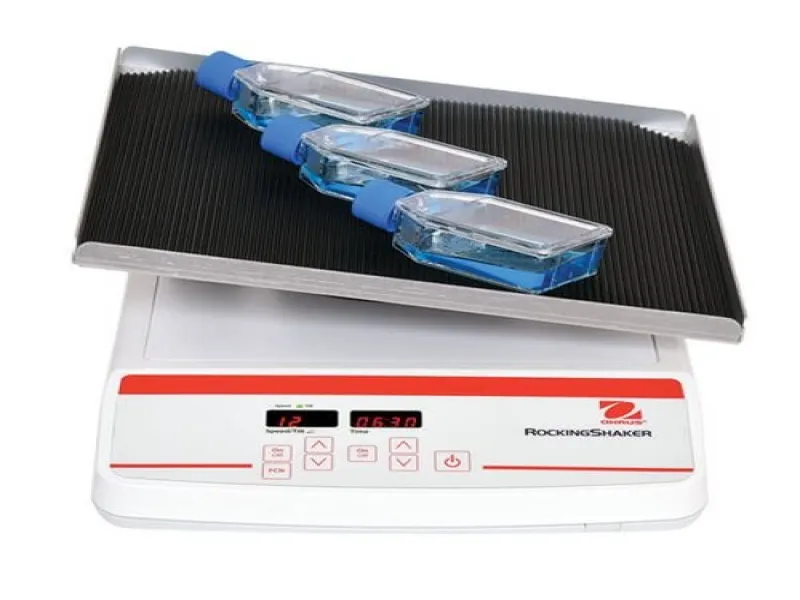 Rocking-Waving Shakers