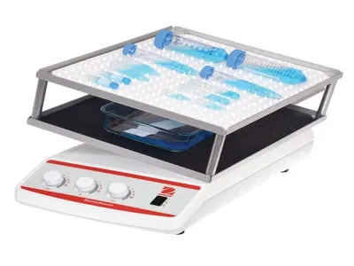 Rocking-Waving Shakers