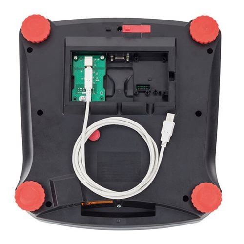 Ranger™ 3000 Count